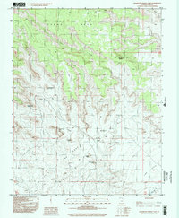 Download a high-resolution, GPS-compatible USGS topo map for Cigarette Spring Cave, UT (2002 edition)