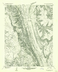 Download a high-resolution, GPS-compatible USGS topo map for Circle Cliffs 1 NE, UT (1954 edition)