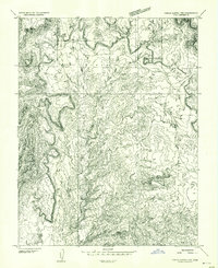 Download a high-resolution, GPS-compatible USGS topo map for Circle Cliffs 1 NW, UT (1954 edition)