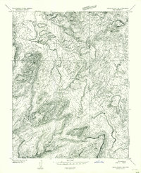 Download a high-resolution, GPS-compatible USGS topo map for Circle Cliffs 1 SW, UT (1954 edition)
