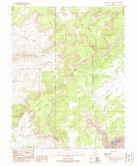 Download a high-resolution, GPS-compatible USGS topo map for Clearwater Canyon, UT (1988 edition)