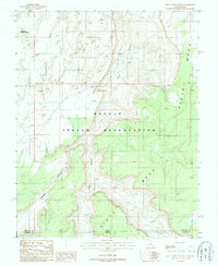 preview thumbnail of historical topo map of San Juan County, UT in 1987