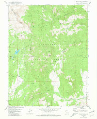 Download a high-resolution, GPS-compatible USGS topo map for Delano Peak, UT (1981 edition)
