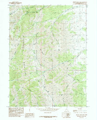 Download a high-resolution, GPS-compatible USGS topo map for Deseret Peak East, UT (1985 edition)