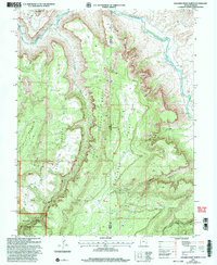 Download a high-resolution, GPS-compatible USGS topo map for Dolores Point North, UT (2004 edition)