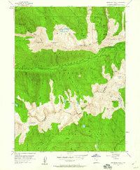 Download a high-resolution, GPS-compatible USGS topo map for Dromedary Peak, UT (1960 edition)
