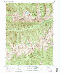 Download a high-resolution, GPS-compatible USGS topo map for Dromedary Peak, UT (1980 edition)