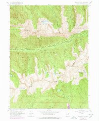 Download a high-resolution, GPS-compatible USGS topo map for Dromedary Peak, UT (1978 edition)