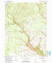 Download a high-resolution, GPS-compatible USGS topo map for Dyer Mountain, UT (1991 edition)