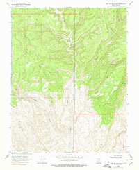 Download a high-resolution, GPS-compatible USGS topo map for East of The Navajo, UT (1978 edition)