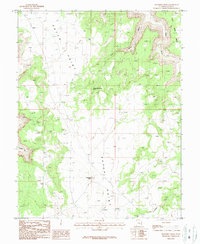 Download a high-resolution, GPS-compatible USGS topo map for Eightmile Rock, UT (1987 edition)