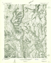 Download a high-resolution, GPS-compatible USGS topo map for Elk Ridge 1 SW, UT (1954 edition)
