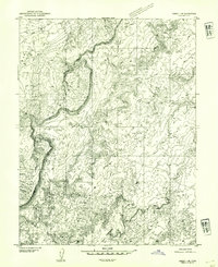 Download a high-resolution, GPS-compatible USGS topo map for Emery 1 NE, UT (1954 edition)