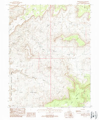 Download a high-resolution, GPS-compatible USGS topo map for Fiddler Butte, UT (1988 edition)
