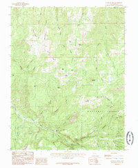 Download a high-resolution, GPS-compatible USGS topo map for Flanigan Arch, UT (1985 edition)