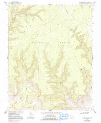 Download a high-resolution, GPS-compatible USGS topo map for Fourmile Bench, UT (1991 edition)