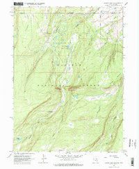 Download a high-resolution, GPS-compatible USGS topo map for Gilbert Peak NE, UT (1977 edition)
