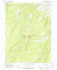 Download a high-resolution, GPS-compatible USGS topo map for Gilbert Peak NE, UT (1977 edition)