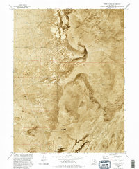 Download a high-resolution, GPS-compatible USGS topo map for Goshute Wash, UT (1995 edition)