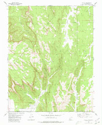 Download a high-resolution, GPS-compatible USGS topo map for Hildale, UT (1980 edition)