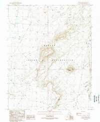 Download a high-resolution, GPS-compatible USGS topo map for Hogan Mesa, UT (1989 edition)