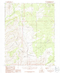 Download a high-resolution, GPS-compatible USGS topo map for Horse Pasture Mesa, UT (1987 edition)