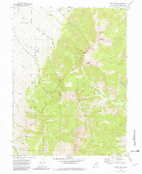 Download a high-resolution, GPS-compatible USGS topo map for Ibapah Peak, UT (1982 edition)
