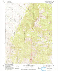 Download a high-resolution, GPS-compatible USGS topo map for Ibapah Peak, UT (1993 edition)