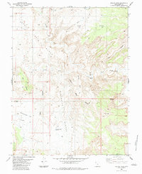 Download a high-resolution, GPS-compatible USGS topo map for Ireland Mesa, UT (1983 edition)