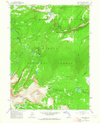Download a high-resolution, GPS-compatible USGS topo map for Leidy Peak, UT (1964 edition)