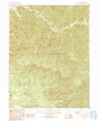 Download a high-resolution, GPS-compatible USGS topo map for Lion Canyon, UT (1991 edition)
