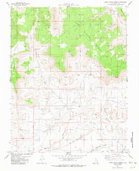 Download a high-resolution, GPS-compatible USGS topo map for Lower Coyote Spring, UT (1981 edition)