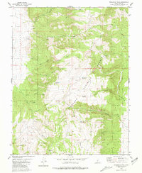 Download a high-resolution, GPS-compatible USGS topo map for Mahustan Peak, UT (1981 edition)