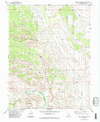 Download a high-resolution, GPS-compatible USGS topo map for Mexican Mountain, UT (1983 edition)