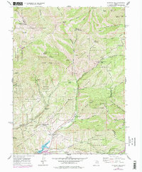 Download a high-resolution, GPS-compatible USGS topo map for Mountain Dell, UT (1978 edition)