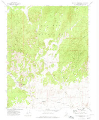 Download a high-resolution, GPS-compatible USGS topo map for Mountain Spring Peak, UT (1974 edition)