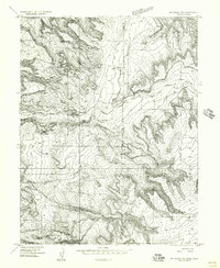 Download a high-resolution, GPS-compatible USGS topo map for Mt Waas 1 NE, UT (1956 edition)