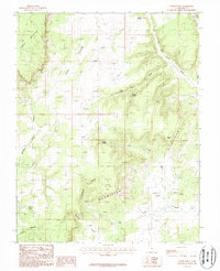 Download a high-resolution, GPS-compatible USGS topo map for Nephi Point, UT (1987 edition)