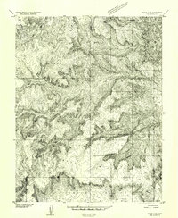 Download a high-resolution, GPS-compatible USGS topo map for Notom 4 SW, UT (1954 edition)