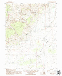 Download a high-resolution, GPS-compatible USGS topo map for Old Woman Wash, UT (1988 edition)
