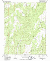 preview thumbnail of historical topo map of San Juan County, UT in 1985