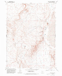 Download a high-resolution, GPS-compatible USGS topo map for Peplin Flats, UT (1992 edition)