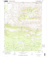 Download a high-resolution, GPS-compatible USGS topo map for Phil Pico Mtn, UT (1978 edition)