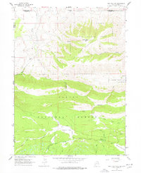 Download a high-resolution, GPS-compatible USGS topo map for Phil Pico Mtn, UT (1978 edition)