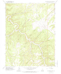 Download a high-resolution, GPS-compatible USGS topo map for Pine Spring Canyon, UT (1984 edition)