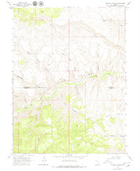 Download a high-resolution, GPS-compatible USGS topo map for Pinnacle Canyon, UT (1979 edition)