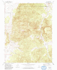 Download a high-resolution, GPS-compatible USGS topo map for Pinto, UT (1991 edition)