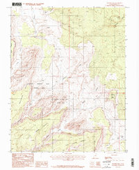 Download a high-resolution, GPS-compatible USGS topo map for Pioneer Mesa, UT (1987 edition)