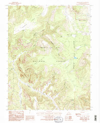 Download a high-resolution, GPS-compatible USGS topo map for Poison Canyon, UT (1995 edition)