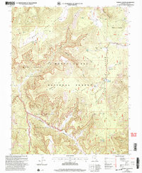 Download a high-resolution, GPS-compatible USGS topo map for Poison Canyon, UT (2004 edition)